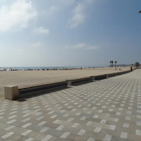 Nereo Ii Alicante